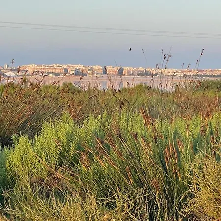 Exclusivo Y * Torrevieja